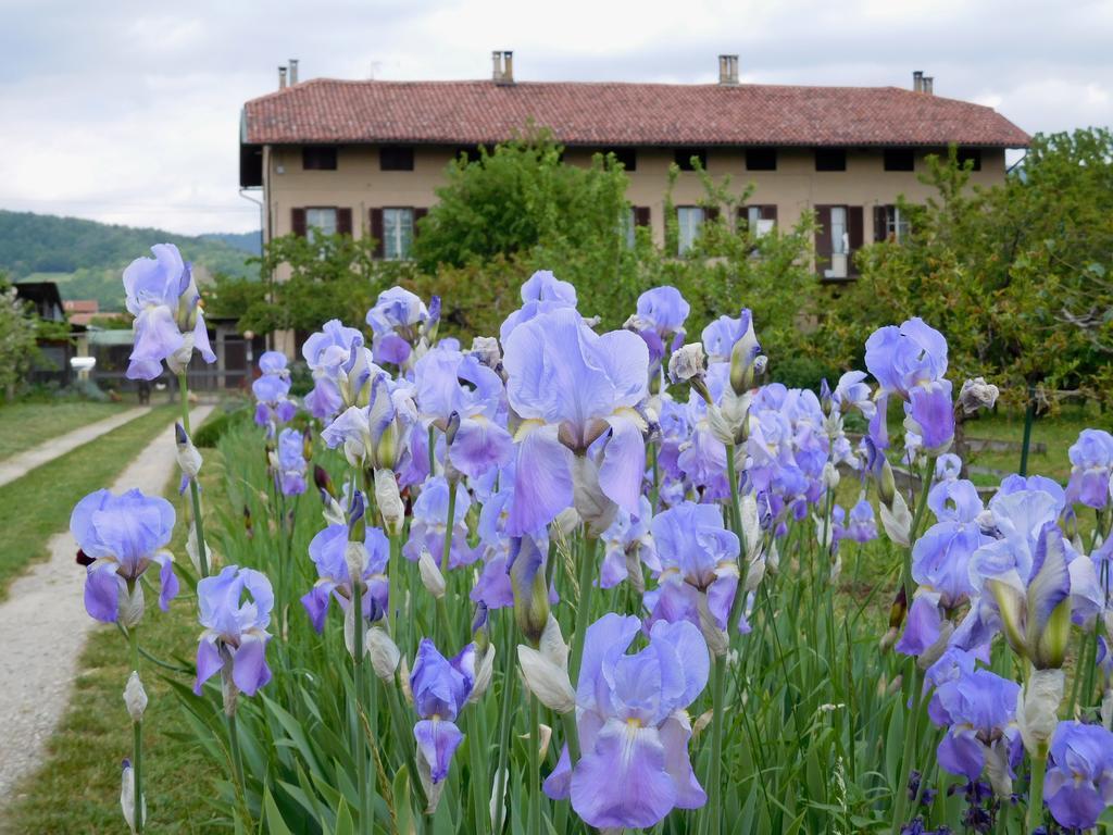 U Tej Bed & Breakfast Cumiana Eksteriør bilde